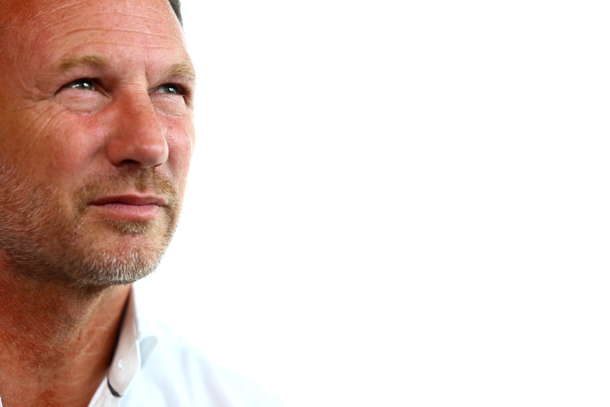 Christian Horner, F1